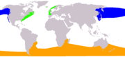 Range of the Eubalaena species.