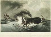 Whaling in small wooden boats with hand harpoons was a hazardous enterprise, even when hunting the "right" whale.