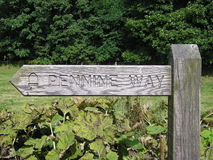 An example of one of the many waymarks used to guide the walker on the Pennine Way. This particular example is near Airton.