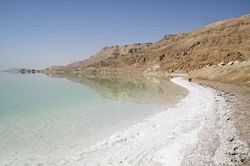 Near Ein Gedi, salt builds up along the shores of the Dead Sea.