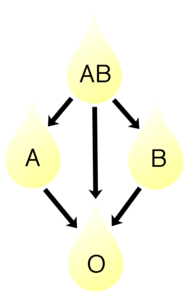 Plasma compatibility chartIn addition to donating to the same blood group; plasma from type AB can be given to A, B and O; plasma from types A and B can be given to O.