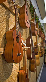 Ukuleles hanging in a music store.