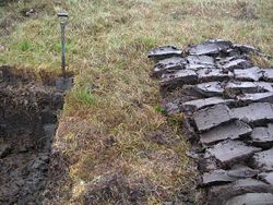Peat once provided much of Ireland's energy needs