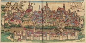 1493 Woodcut of the City of Basel.