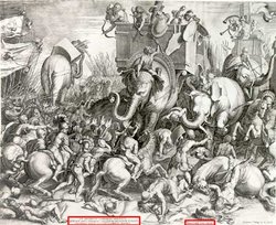 Engraving of the Battle of Zama by Cornelis Cort, 1567.Note that the elephants shown are Asian ones rather than the very small North African ones used by Carthage.