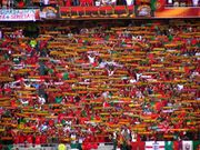 Portuguese football fans supporting the national team.