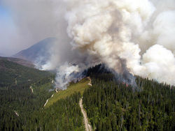 Wildfires burned 10% of the park in 2003