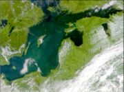 Phytoplankton bloom in the Baltic Proper, July 3, 2001.