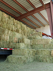 Baled barley hay in Falcon, Colorado.