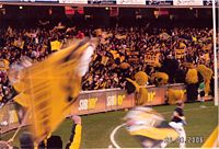 Cheersquads at Australian rules football matches behind the goals wave giant Pom-pons or floggers to signify a goal