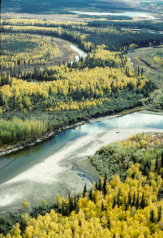 Image:Fall on the Yukon Flats NWR.jpg