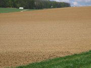 Loess field in Germany