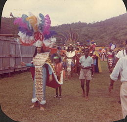 1965 carnival