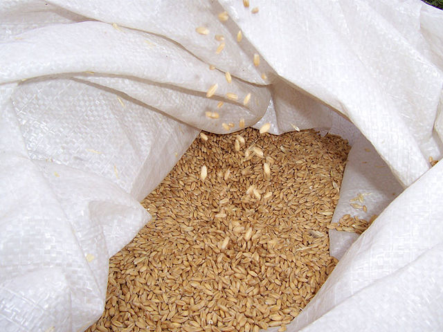 Image:Wheat in sack.jpg