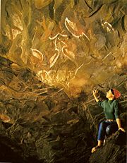 Birdmen (Tangata manu) paintings in the so-called "Cave of the Men Eatresses".