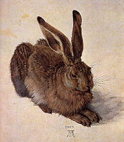 Albrecht Dürer, A Young Hare, 1502, Watercolor, Albertina, Vienna.