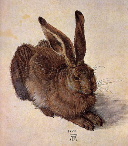 Image:A Young Hare, Albrect Durer.jpg