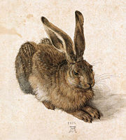 Young Hare, 1502, Watercolour and bodycolour (Albertina).