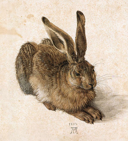 Image:Durer Young Hare.jpg