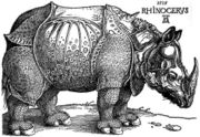 Dürer's Rhinoceros, woodcut, 1515.