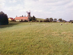 Windmills and yellow brick houses accent the gently rolling meadowlands of Denmark