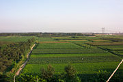 Farmlands in Hebei province. Hundreds of millions of Chinese still depend on the agricultural sector for their livelihood.