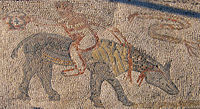 A Roman mosaic in Volubilis.