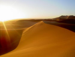 A dune in Morocco.