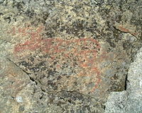 A rock painted moose from Jämtland. Rock paintings (pictographs) have been fairly limited to northern Scandinavia.