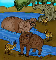 The Cretan Dwarf Hippopotamus (H. creutzburgi) was similar in size to a pygmy hippopotamus, but more closely related to the common hippopotamus.