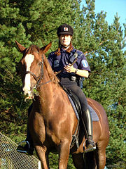 A mounted police officer in Helsinki.