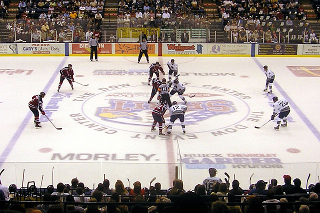 Image:OHL-Hockey-Plymouth-Whalers-vs-Saginaw-Spirit.jpg