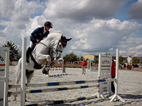 Show Jumping, an equestrian sport.