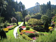 The Sunken Garden of Butchart Gardens, Victoria, British Columbia