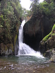 On the Río Savegre, just below San Gerardo de Dota in the Talamanca Highlands of Costa Rica.