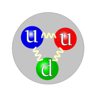 Quark structure proton: 2 up quarks and 1 down quark.