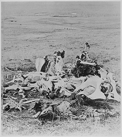 Image:Custer's Last Stand, 1877.png