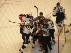 A fight during the game between the Ottawa Senators and the Tampa Bay Lightning in the 2006 Stanley Cup playoffs.