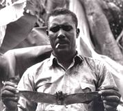 Worker holding Common Vampire Bat. Trinidad, 1956.