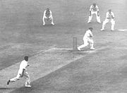 Bradman hooks English left-arm fast bowler Bill Voce during the 1936–37 series. The position of Bradman's left foot in relation to the stumps is an example of how he used the crease when batting.