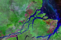 none Mouth of the Amazon River