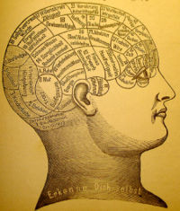 A phrenological mapping  of the brain. Phrenology was among the first attempts to correlate mental functions with specific parts of the brain.