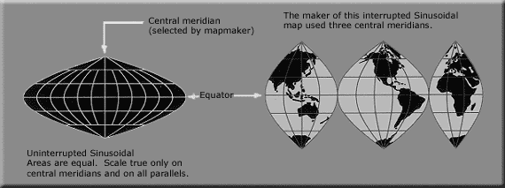 A sinusoidal projection shows relative sizes accurately, but grossly distorts shapes. Distortion can be reduced by "interrupting" the map.