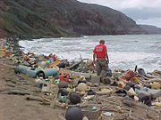 Marine debris on the Hawaiian coast