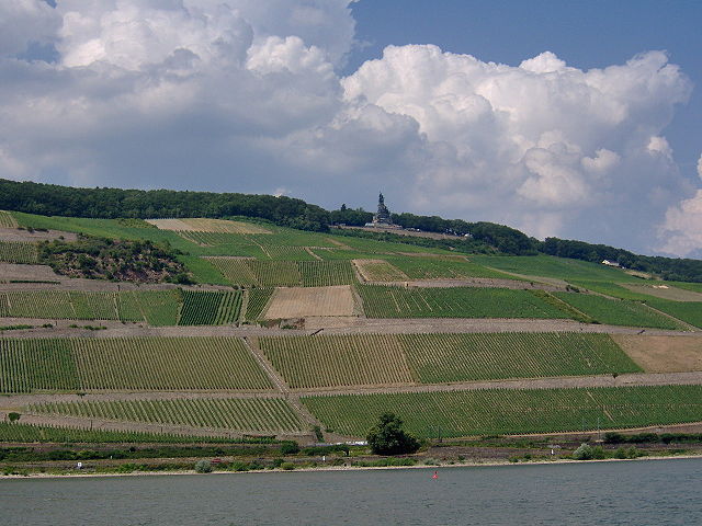 Image:German Vineyard.JPG