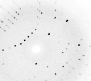 An X-ray diffraction image for the protein myoglobin. At the time when Crick participated in the discovery of the DNA Double Helix, he was doing his thesis research on X-ray diffraction analysis of protein structure (see below).