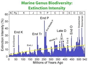 Extinction intensity during the Phanerozoic.  As changes in biodiversity reflect both changes in origination and extinction, some events shown here are masked in the biodiversity curve by very rapid replacement with new species.