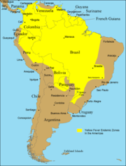 Endemic range of yellow fever in South America (2005)