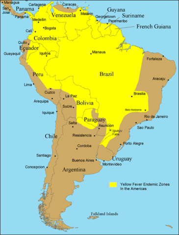 Image:Yellow fever South America 2005.png
