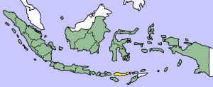      Flores is the island highlighted in yellow. The territory of Indonesia as a whole is in green.